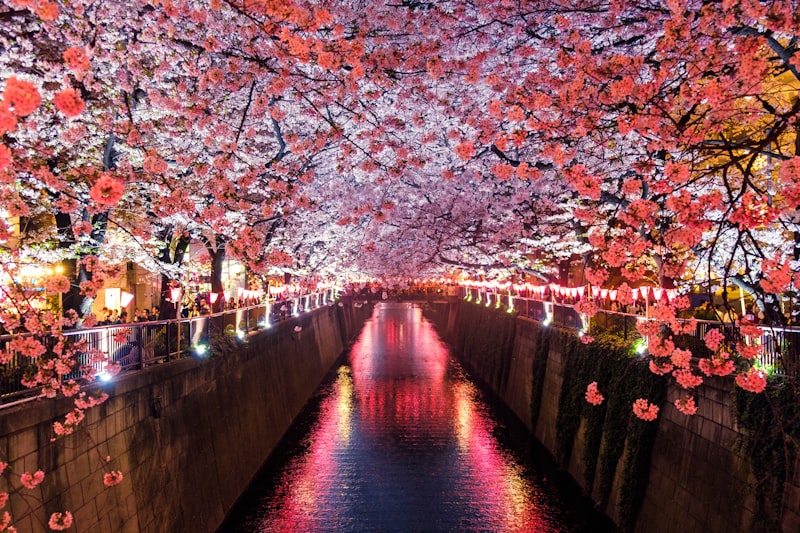 Miyajima